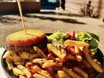 Restaurant Les Clarines Andilly 74350 - Phptp d'une assiette burger frites prise à la terrasse du restaurant